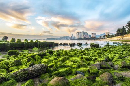 Khám phá bãi rêu Nha Trang – tọa độ check in 2025