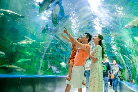 Kinh nghiệm tham quan Viện Hải dương học Nha Trang