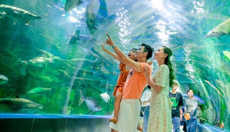 Bạn có thể tìm thấy mọi thứ về cuộc sống ở Nha Trang trên NhaTrangLives.com