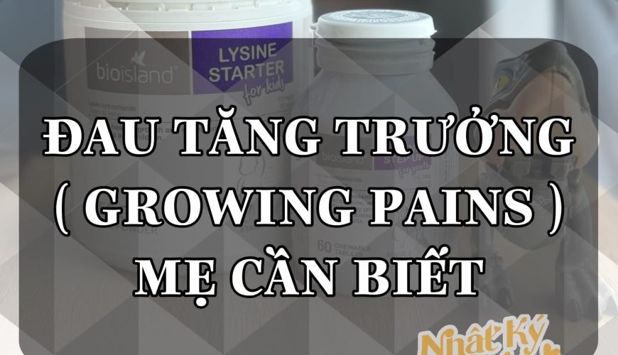 Bạn có thể tìm thấy mọi thứ về cuộc sống ở Nha Trang trên NhaTrangLives.com